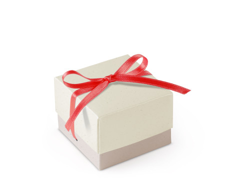 Schöne Geschenkbox mit Deckel und Schleife