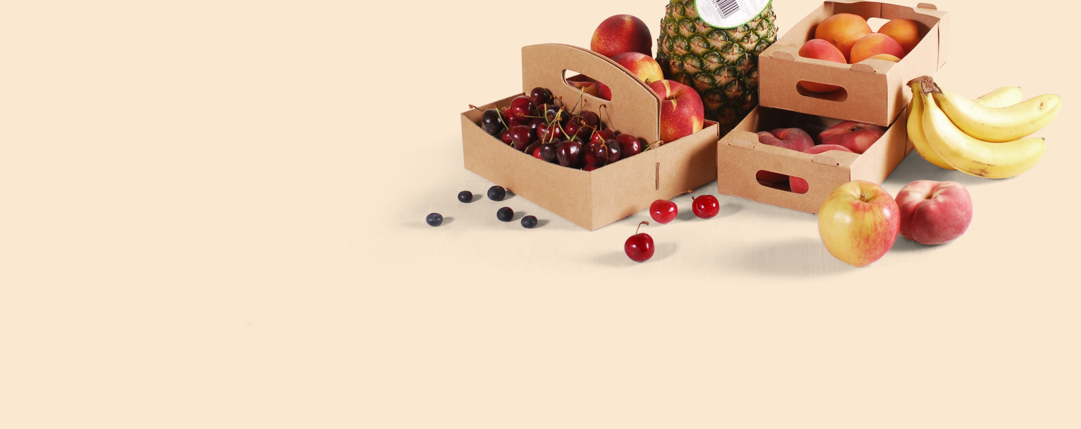 Caisse en carton pour fruits et légumes